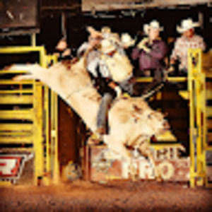 Meet your Posher, Raymond